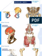 Osteomuscular Parte 2