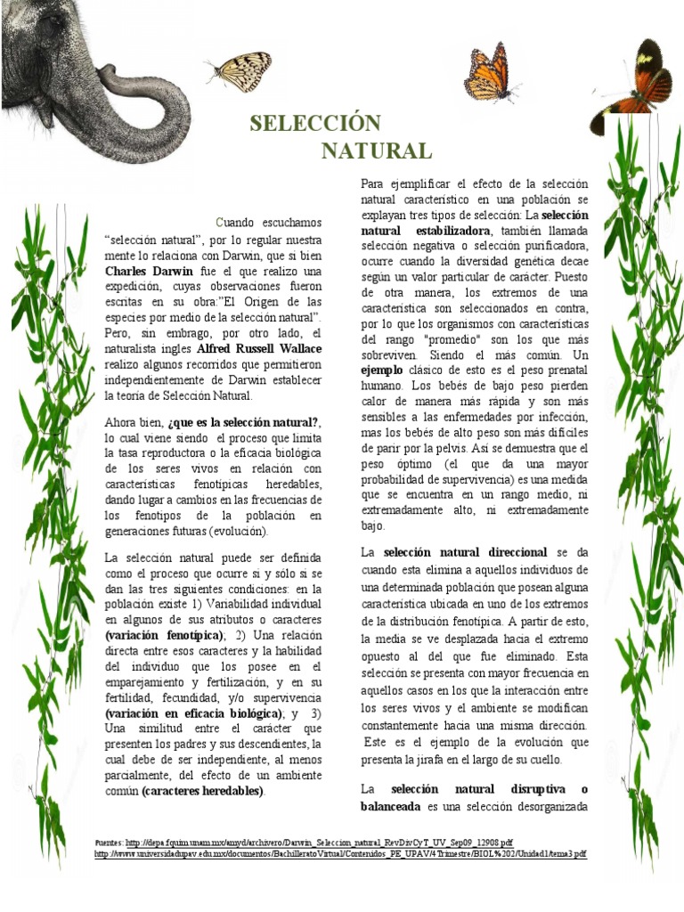 Ejemplos de Selección Natural en Darwin | PDF | Seleccion natural ...