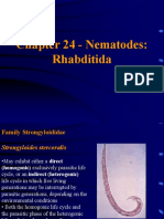 Chapter 24 - Nematodes: Rhabditida