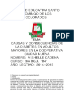 250093661-Monografia-sobre-la-diabetes.docx
