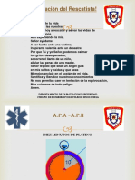 Primeros Auxilios A.P.A