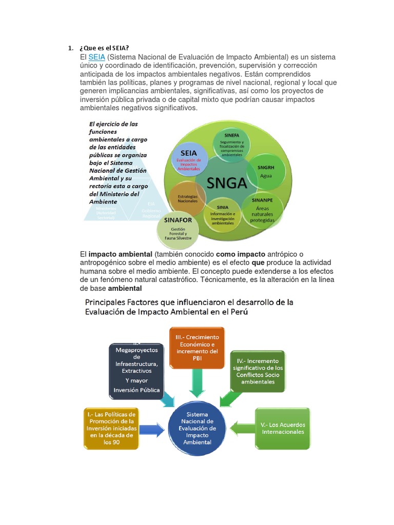 Definición del SEIA en Perú | PDF | Evaluación de impacto ambiental ...