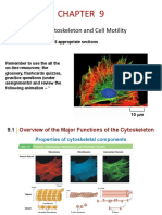 MBB231 Chapter 9 Cytoskeleton Introduction 1197