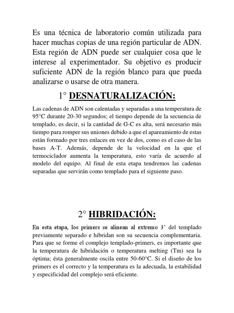 1° Desnaturalización PDF