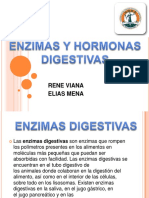 Informacion Enzimas y Hormonas Digestivas