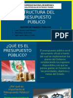 Estructura Del Presupuesto Público