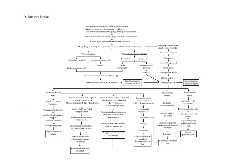 Pathway Stroke: Hemoragik dan Non-Hemoragik | PDF