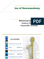 Introduction of Neuroanatomy: Muhammad Iqbal Basri