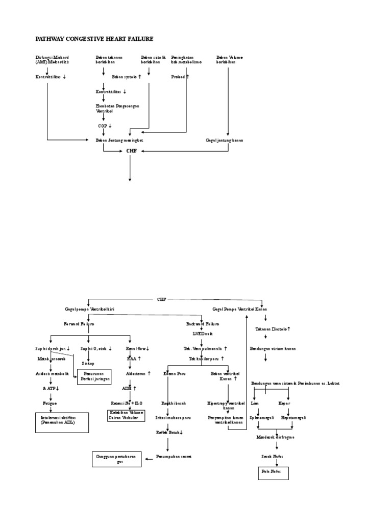 Pathway Congestive Heart Failure | PDF | Cardiology | Diseases And ...