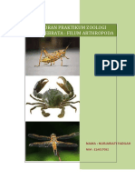 23-Nurjariati Fadilah Arthropoda Fix PDF