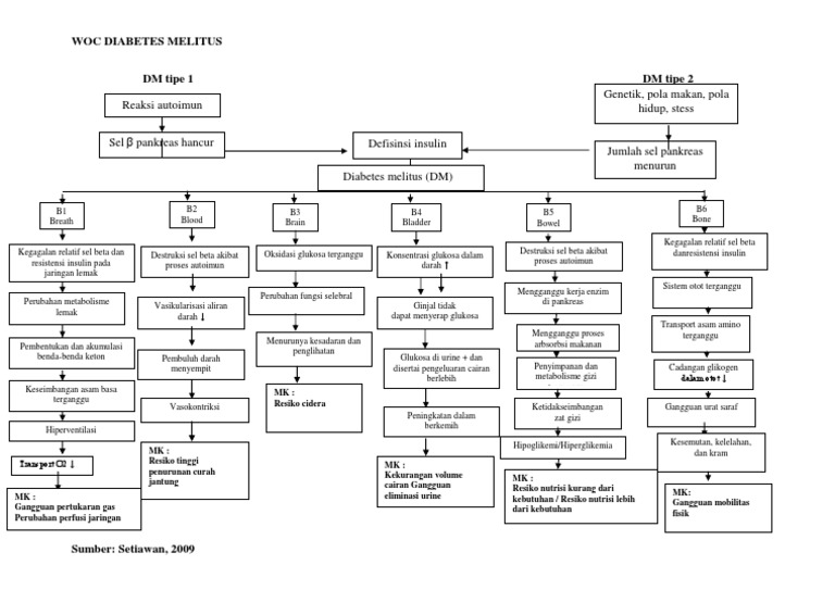 WOC Diabetes Melitus Tipe 1 dan 2 | PDF