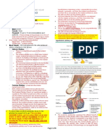 LIGHT - Endo Pituitary Gland