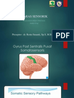 ppt sensoris