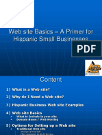 Web Site Basics - A Primer For Hispanic Small Businesses