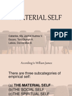 Material Self: Cabarles, Ma. Joshiel Audrea V. Escaro, Toni Olymph A. Labios, Donna Mae B