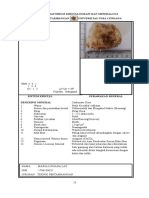 Carbonate Class(CHLARIS 2)