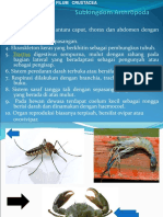 Filum Crustacea (KL)