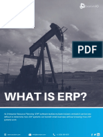 What Is ERP