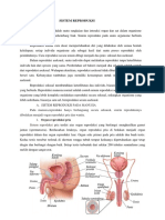 Sistem Reproduksi Manusia