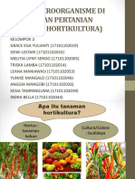 Peran Mikroorganisme Di Lingkungan Pertanian (Tanaman Hortikultura)