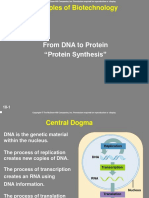 Biotech Lecture Protein Synthesis Week 2-Dikonversi