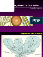 Monera Protista Fungi