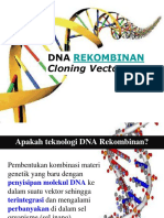 Dna Rekombinan