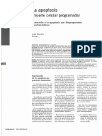 Dialnet LaApoptosisMuerteCelularProgramada 4990801 PDF
