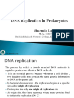 DNA Replication