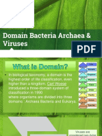 Domain Bacteria Archaea & Viruses
