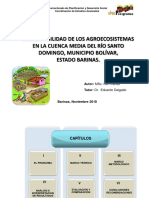 Sustentabilidad de Agroecosiatemas Cuenca Del Rio Santo Domingo, Barinas