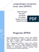 Sistem Pengembangan Manajemen Kinerja Klinis (SPMKK)