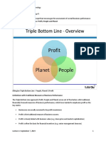 What Is The "Triple Bottom Line"?