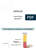 Sangue Prática MED 2017