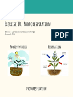 Exercise 10 Photorespiration