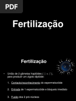 FertilizaÃ§Ã£o_T4