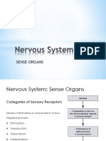 Sense Organs Report PDF