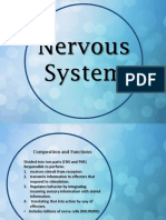 Nervous System Report PDF