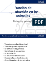 16 Presentacion Funcion Reproduccion Animales