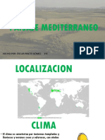 PAISAJE MEDITERRANEO