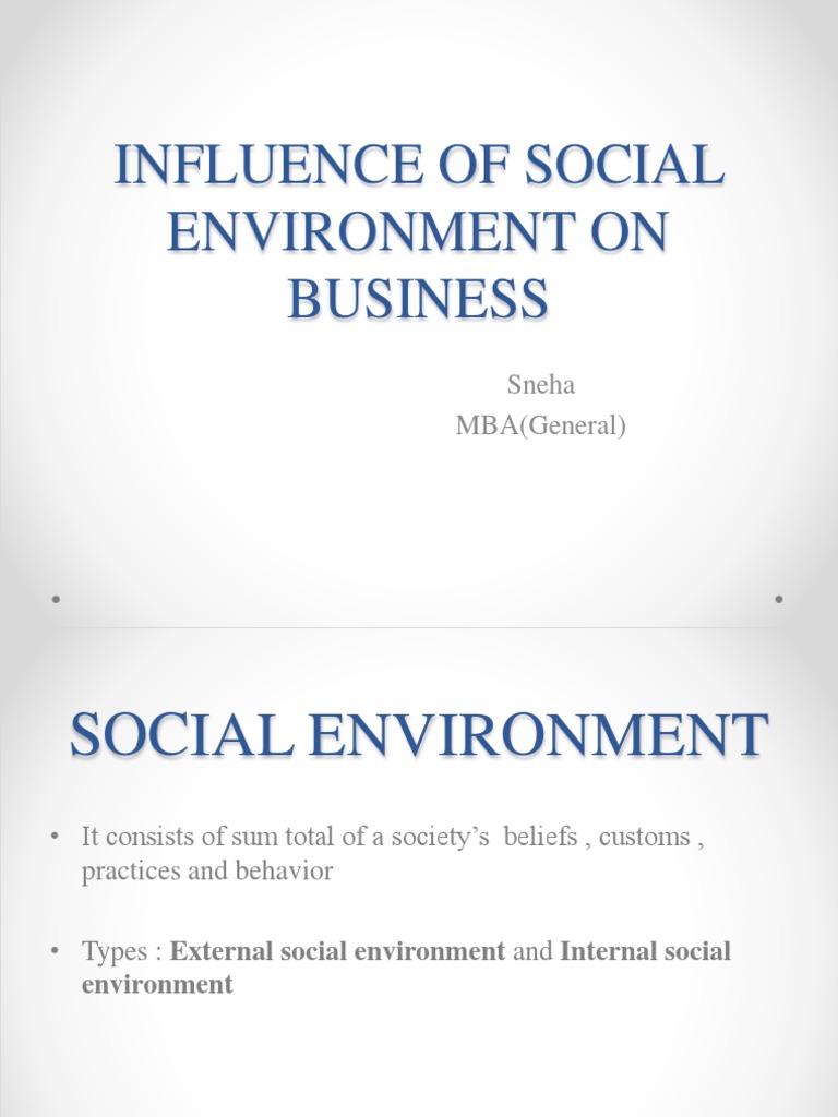The Influence of External and Internal Social Environments on Business ...