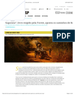 Sagarana, Livro Exigido Pela Fuvest, Aponta Os Caminhos de Rosa – Jornal Da USP