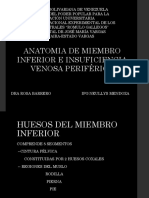 Anatomia de Miembro Inferior