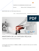 Anatomía de La Cintura Pélvica Fisioterapia Osteopatía Barcelona - Centro Médico Terapéutico