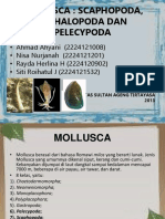 Dokumen - Tips - PPT Mollusca Smapptx
