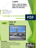 Ecología y Conservación Ambiental GRUPO 9.2