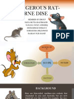 Rat-Borne Diseases and Prevention