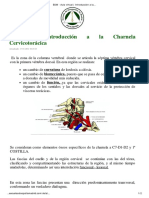 1.anatomia Cervical PDF