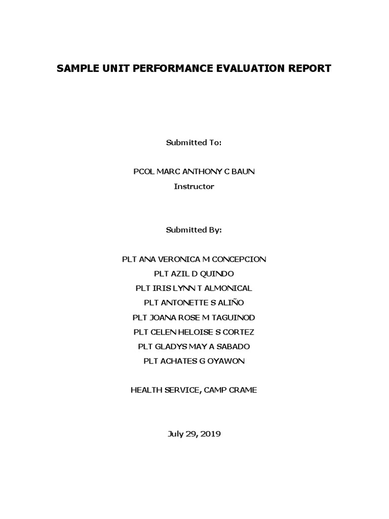 Sample Unit Performance Evaluation Report PDF