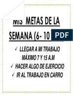 METAS DE LA SEMANA.docx
